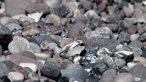 Feuersteine am Strand