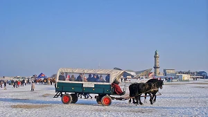 Pferdekutsche am Strand zum Warnemünder Wintervergnügen