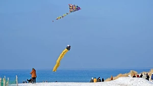 Drachen zum Warnemünder Wintervergnügen